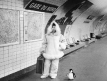 janol-apin01
