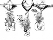 Modernist-Cuisine-H2O-580x356