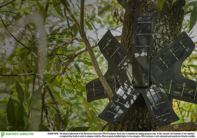 rfcx protection foret deforestation smartphone alerte 2